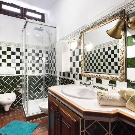 Live My Dream * Santa Úrsula